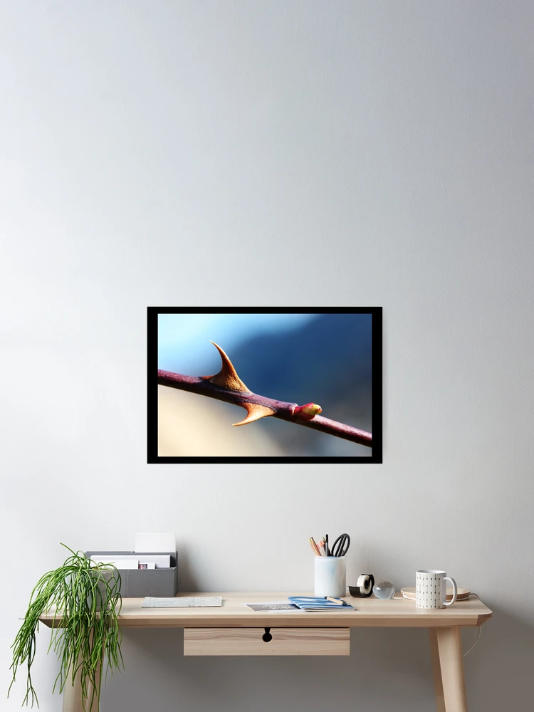 Thumbnail 2 of 3, Poster, Protected designed and sold by Jörg Holtermann.