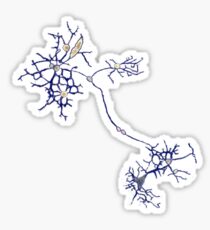 Connections Sticker