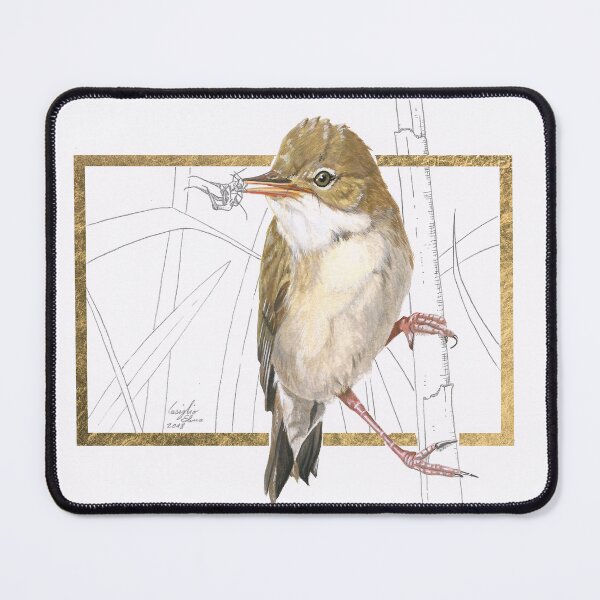 Item preview, Marsh Warbler (Acrocephalus palustris) artwork designed and sold by Elena Casiglio.