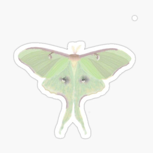 Moth Sticker, Cecropia Moth Insect Sticker, Waterproof Vinyl Art Stick -  studiotuesday