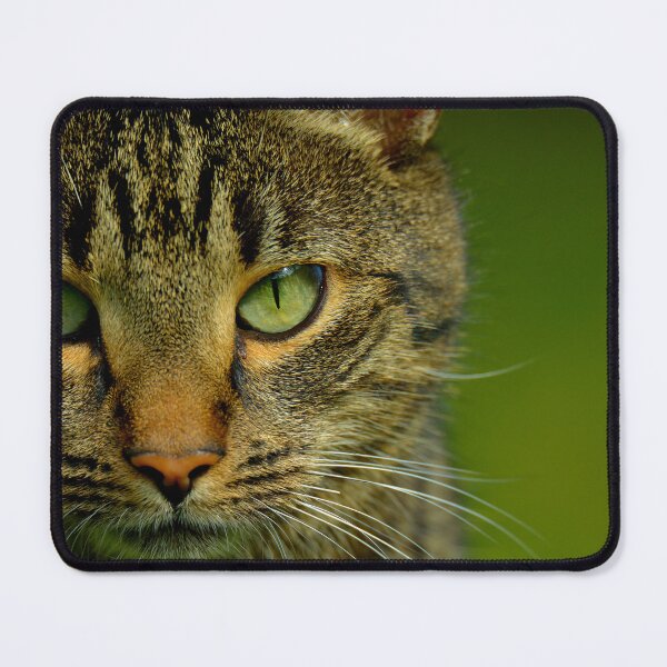 Item preview, portrait of a cat designed and sold by Marcel Wirth.
