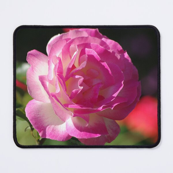 Item preview, Rose designed and sold by Rainy.