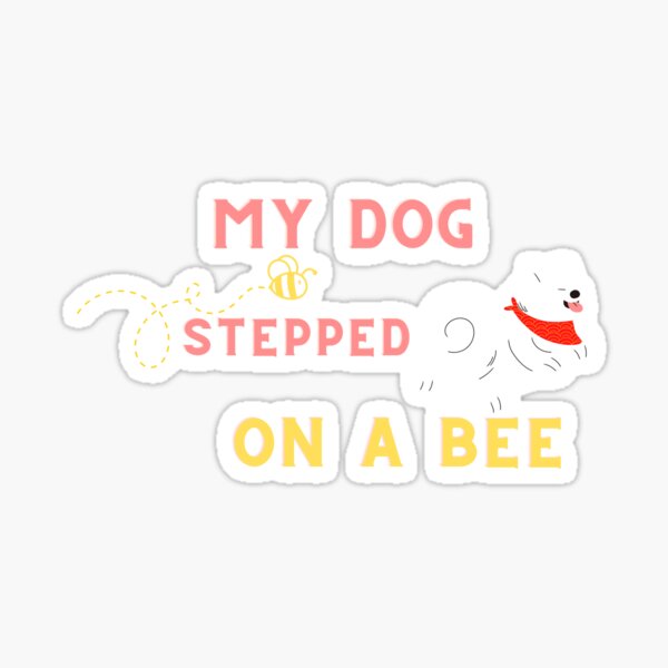 my dog stepped on a bee, your chosen card is a number 3️⃣ 