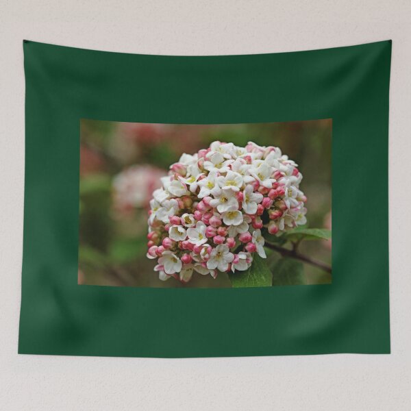 Item preview, Fragrant Snowball designed and sold by Debbie Oppermann.