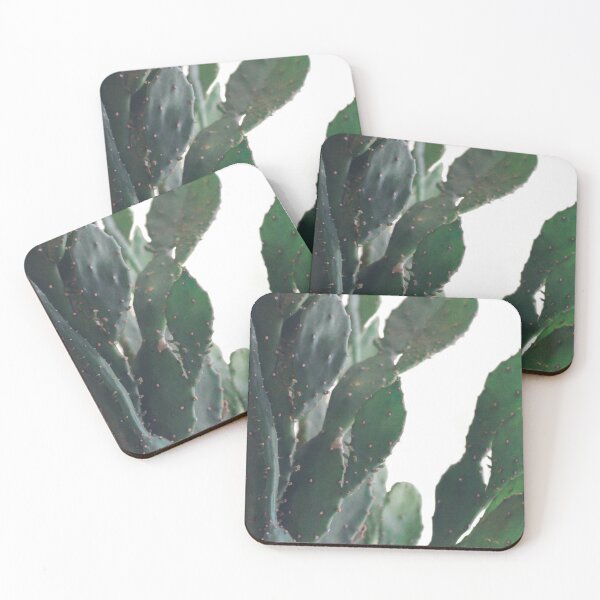 Item preview, Cactus Succulent Agave Plant #2 designed and sold by Tropical Arts.