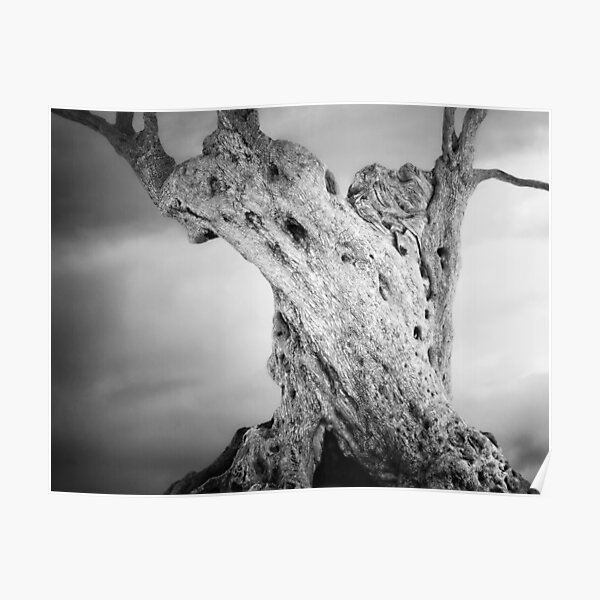 Chthonic Tree Poster