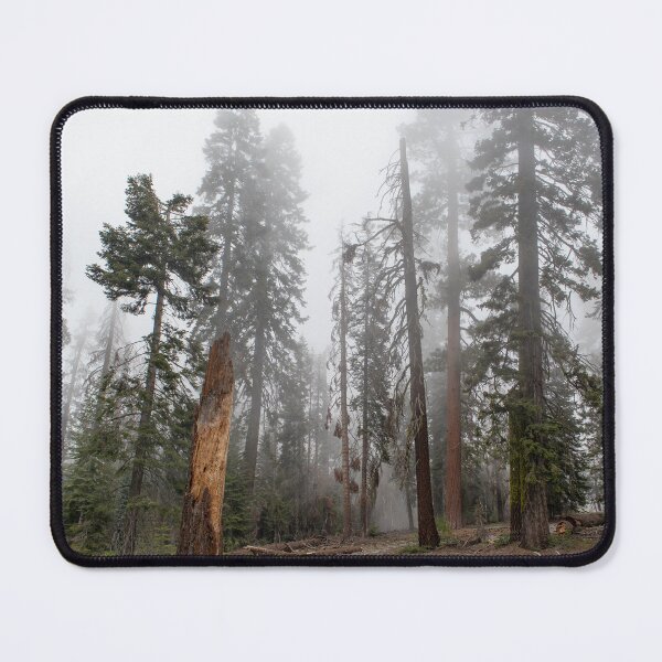 Item preview, Foggy Encroachment - Sequoia Forest, California designed and sold by J Carr Photographer.