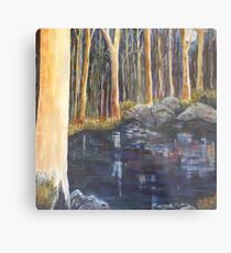 Rockpool Metal Print