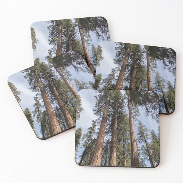 Item preview, Towering Sequoias - Sequoia Park, California designed and sold by J Carr Photographer.