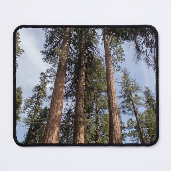 Item preview, Towering Sequoias - Sequoia Park, California designed and sold by J Carr Photographer.
