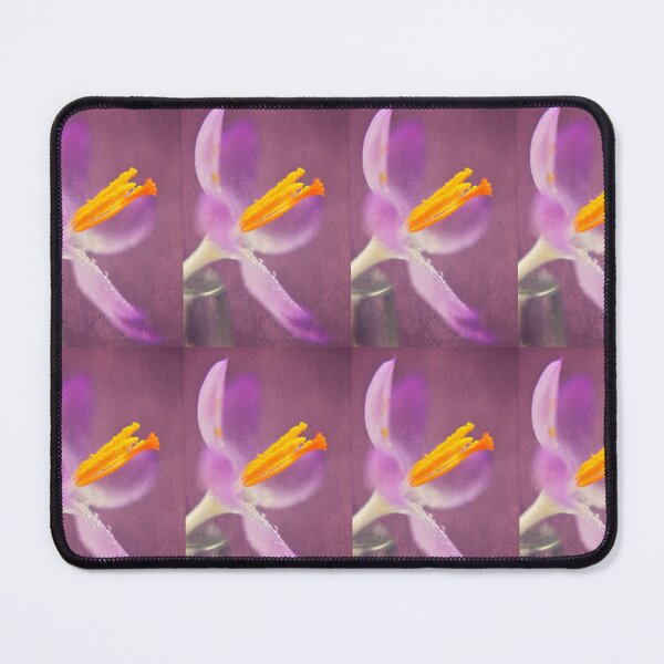 Item preview, Come To Life Again designed and sold by Denise Abé.