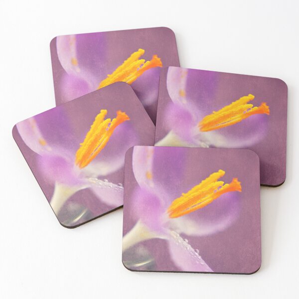 Item preview, Come To Life Again designed and sold by Denise Abé.
