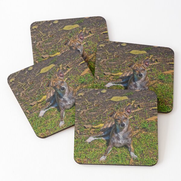 Item preview, Our Camo Babe designed and sold by alabca.
