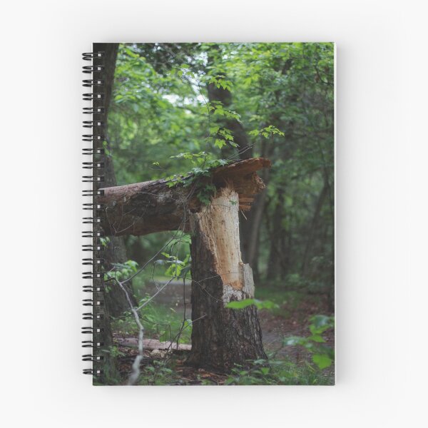 Item preview, Fallen Tree designed and sold by pennyschiereck.