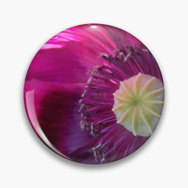 Item preview, A Papaver, Papaveraceae, Klaproos, Papaveri A Pink Flower designed and sold by DiensDesign.