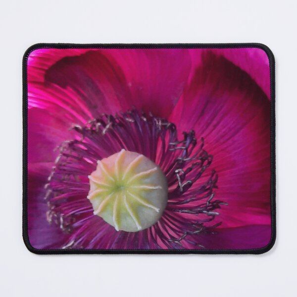 Item preview, A Papaver, Papaveraceae, Klaproos, Papaveri A Pink Flower designed and sold by DiensDesign.