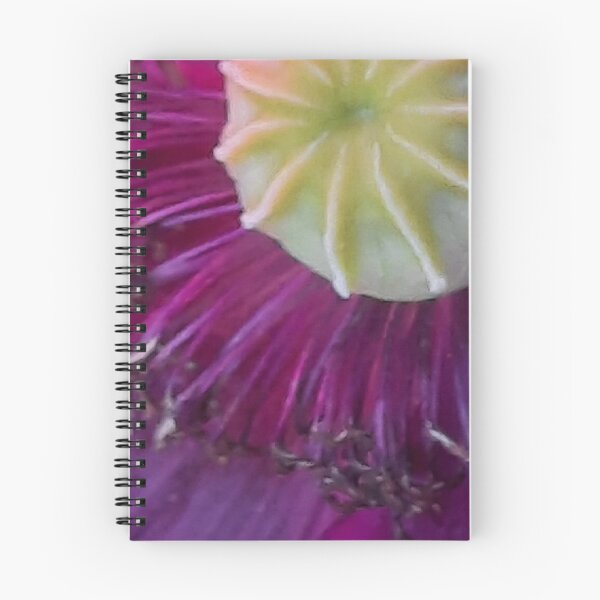 Item preview, A Papaver, Papaveraceae, Klaproos, Papaveri A Pink Flower designed and sold by DiensDesign.