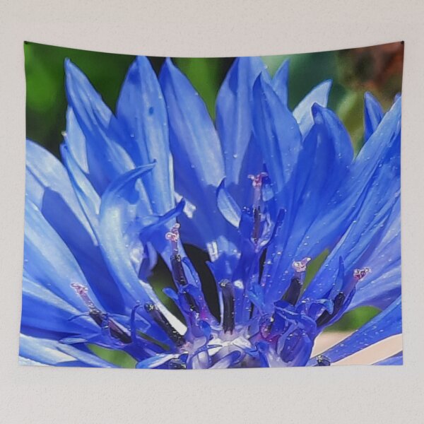 Item preview, A Bluett, Een Blauwe Korenbloem, A Blue Corn Flower designed and sold by DiensDesign.