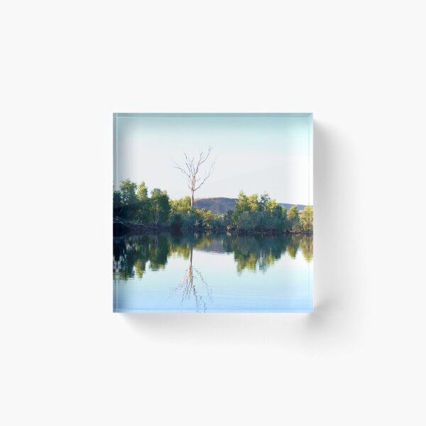 Item preview, Tree Reflected WA designed and sold by KazM.