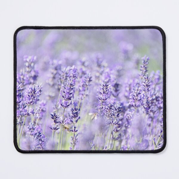 Item preview, Lavender Fields designed and sold by MScott-Photo.