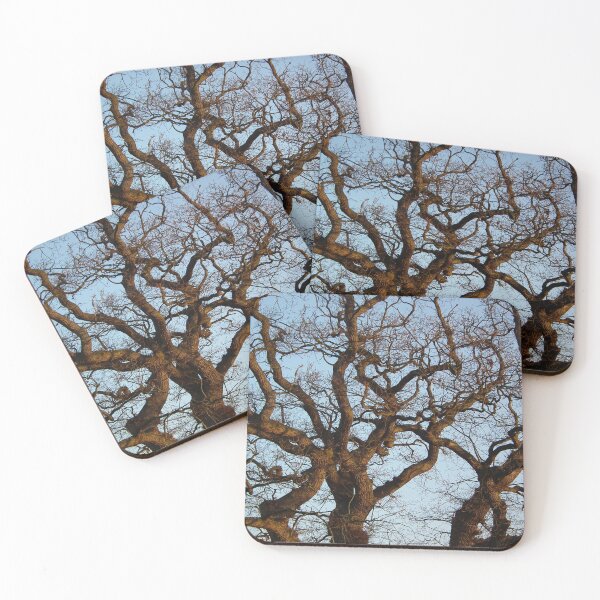 Item preview, Mighty Oak Autumn Sun designed and sold by Yampimon.