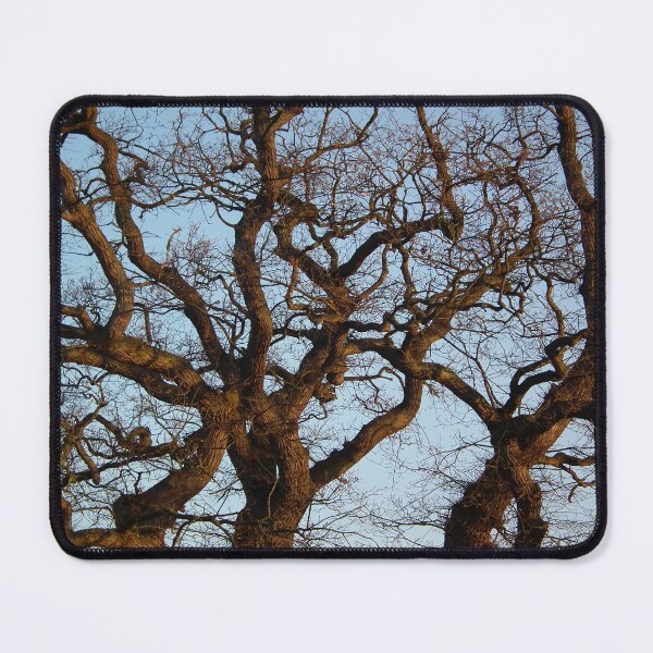 Item preview, Mighty Oak Autumn Sun designed and sold by Yampimon.