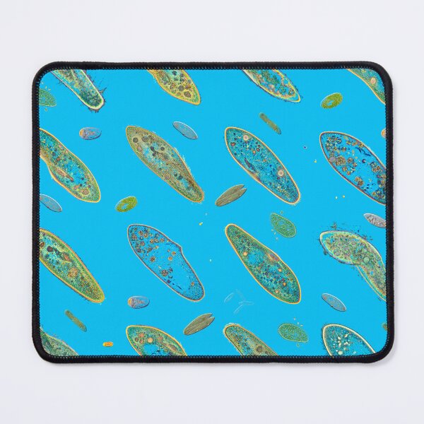 Item preview, Paramecium designed and sold by linesmuggler.