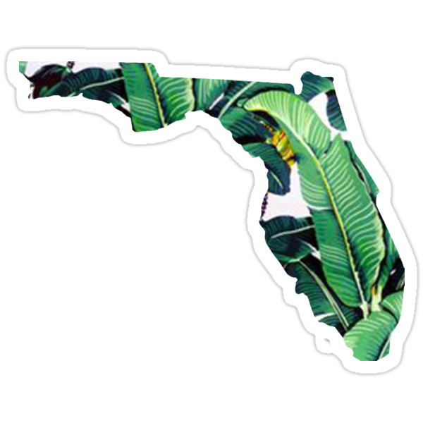 "Florida Palm Leaves State Outline" Stickers by laurajoy16 | Redbubble