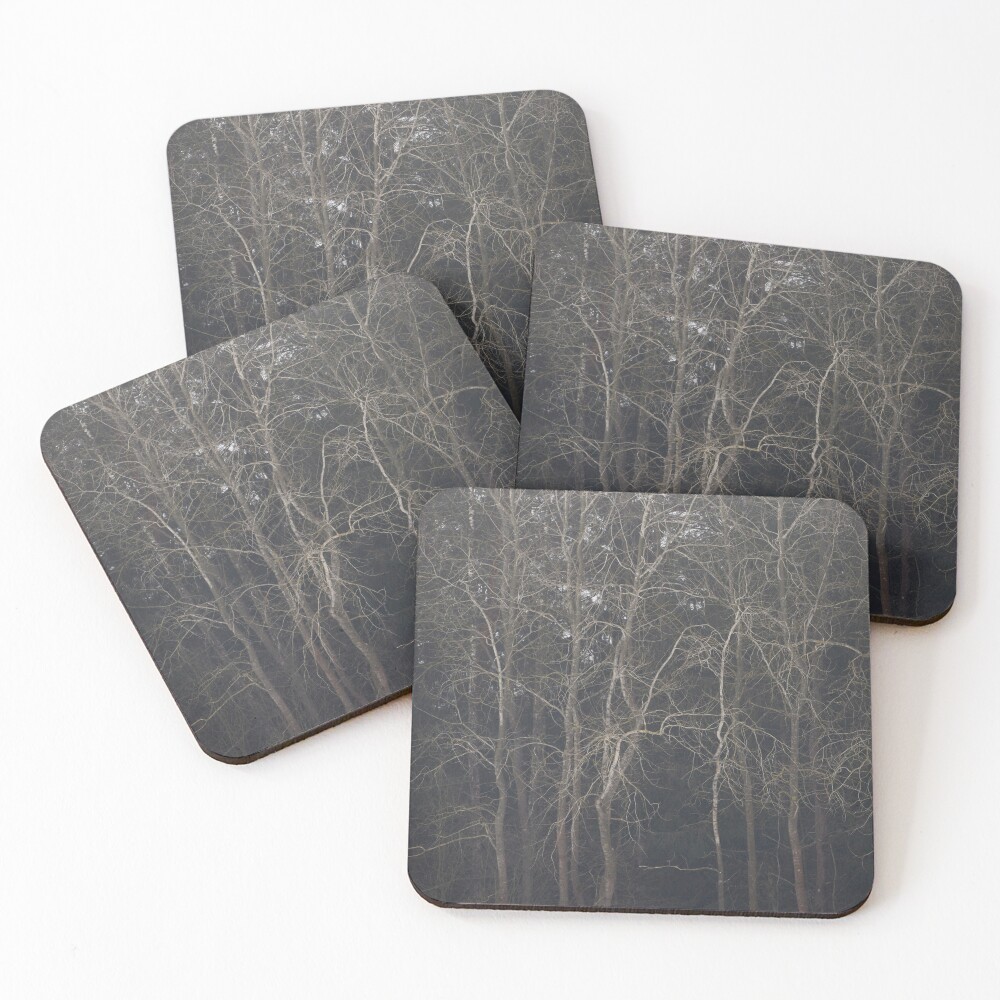Item preview, Coasters (Set of 4) designed and sold by RutaSalt.