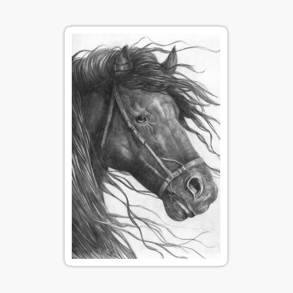 "Pencil Drawing Horse" Sticker for Sale by renatomoraes Redbubble