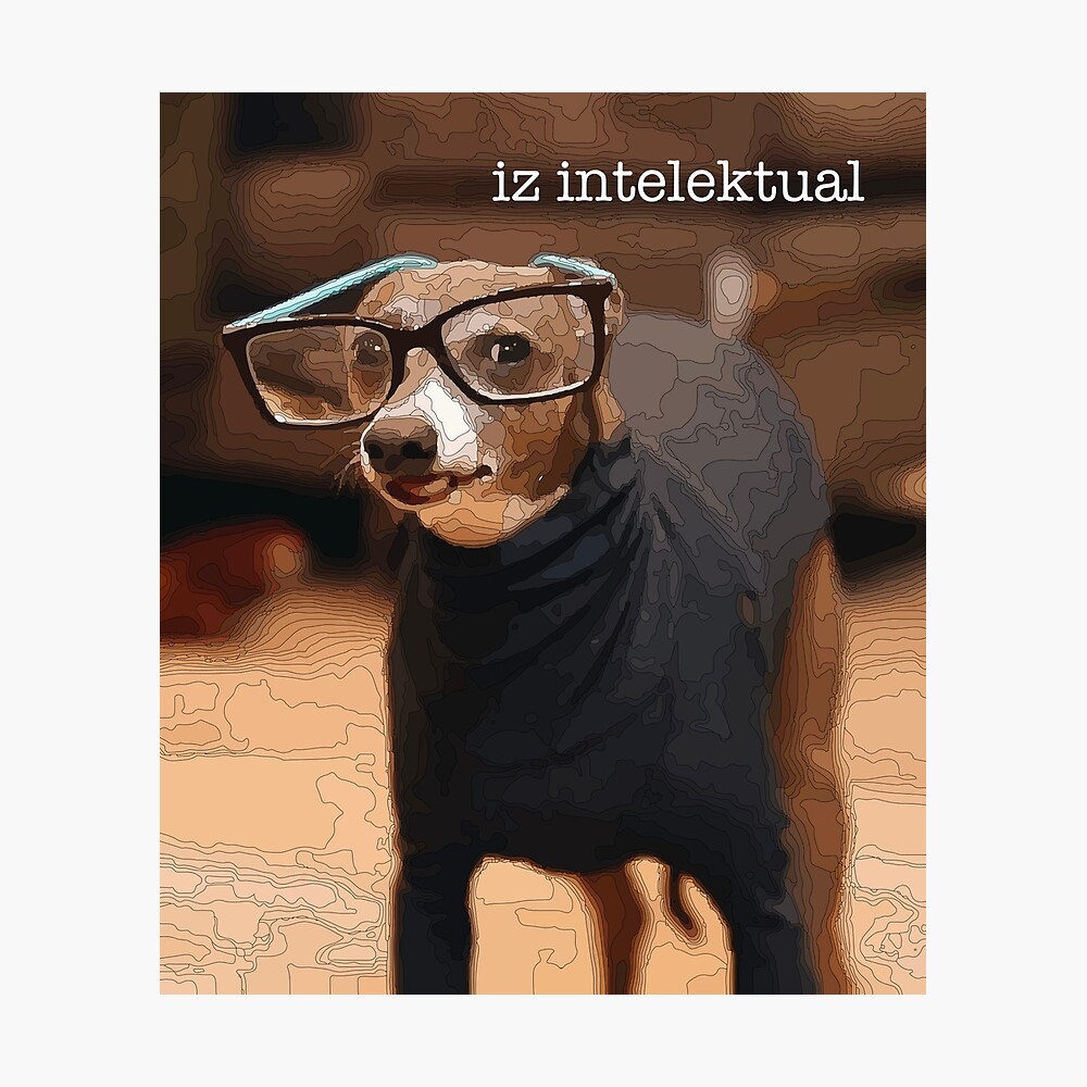 Dog With Turtleneck Meme