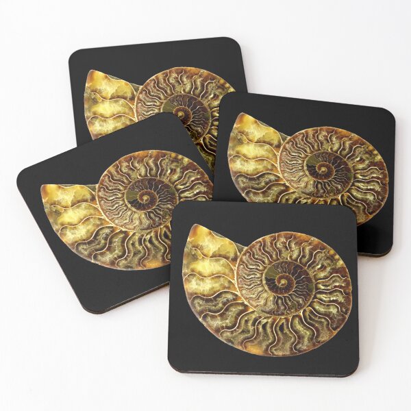 Item preview, Ammonite Fossil designed and sold by saradrawspaleo.