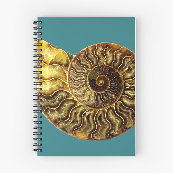 Item preview, Ammonite Fossil designed and sold by saradrawspaleo.
