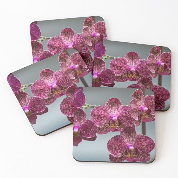 Item preview, Phalaenopsis, also known as moth orchids designed and sold by portokalis.