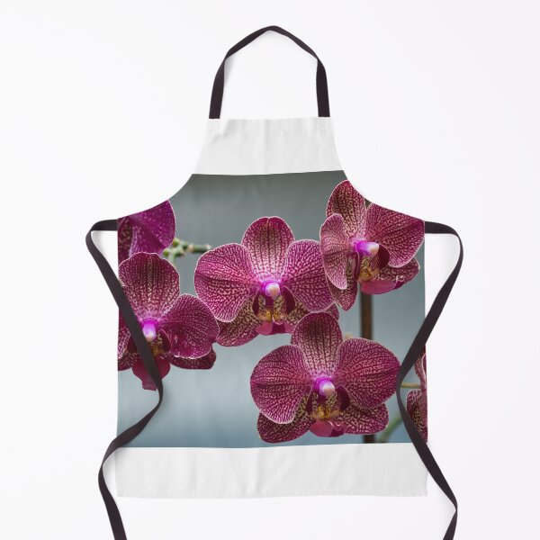 Artikelvorschau, Phalaenopsis, also known as moth orchids entworfen und verkauft von portokalis.