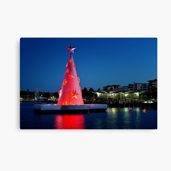 0186 Geelong Christmas tree Canvas Print