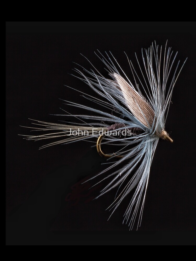 Blue Dun by JohnE