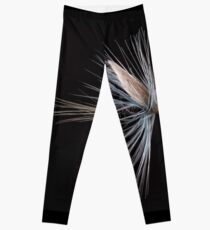 Blue Dun Leggings