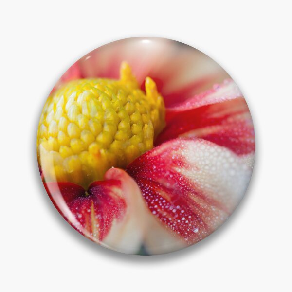 Item preview, Pretty macro flower with rain drops designed and sold by CyaniRose.