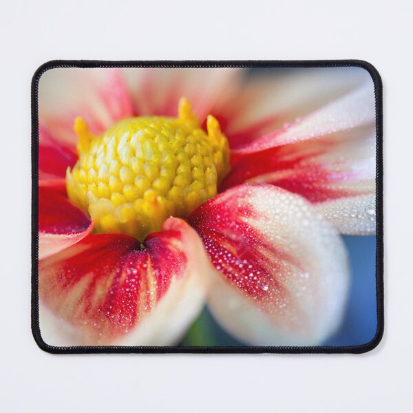 Item preview, Pretty macro flower with rain drops designed and sold by CyaniRose.