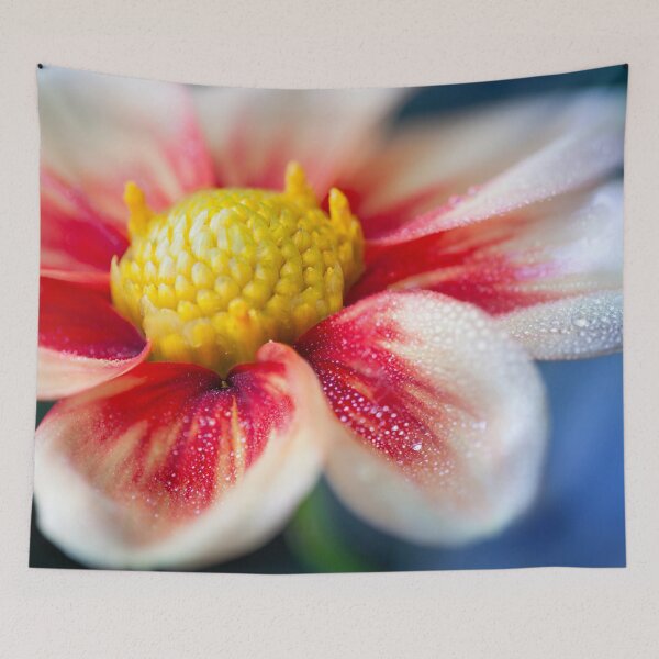 Item preview, Pretty macro flower with rain drops designed and sold by CyaniRose.