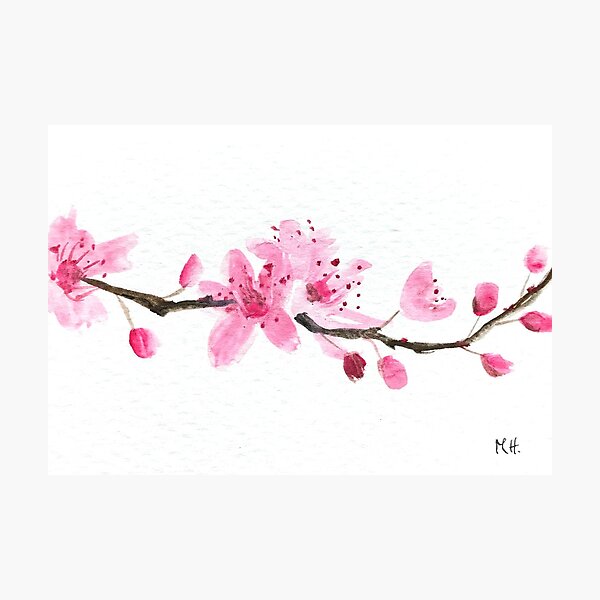 Item preview, Cherry blossoms watercolor  designed and sold by Monika Howarth.