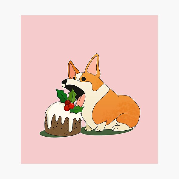 Christmas Corgi Photographic Print
