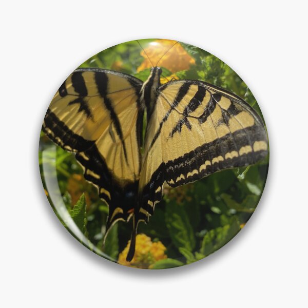 Item preview, Western Tiger Swallowtail Butterfly (Papilio Rutulus) by Mark Ewing designed and sold by LifeSpice.