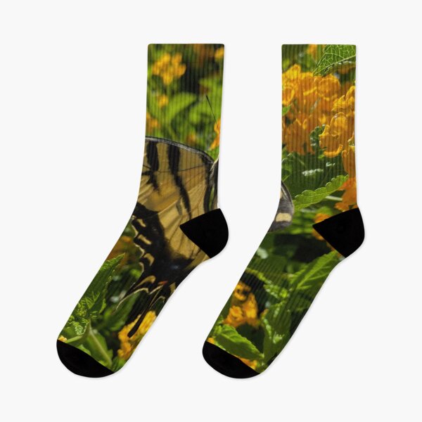 Item preview, Western Tiger Swallowtail Butterfly (Papilio Rutulus) by Mark Ewing designed and sold by LifeSpice.