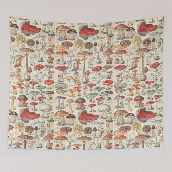 Item preview, Vintage Mushrooms French Champignons designed and sold by Periscope9.