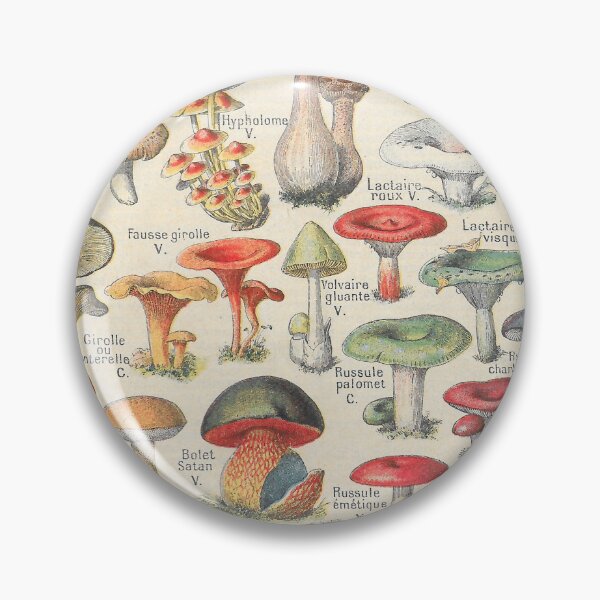Item preview, Vintage Mushrooms French Champignons designed and sold by Periscope9.