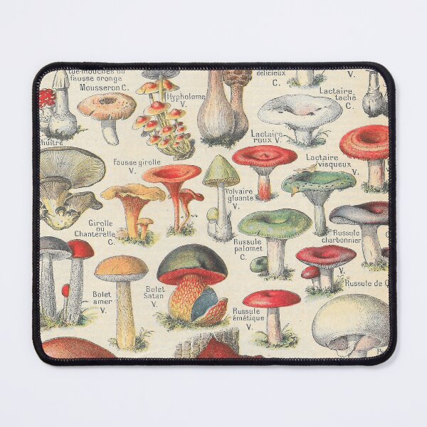 Item preview, Vintage Mushrooms French Champignons designed and sold by Periscope9.