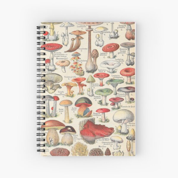 Item preview, Vintage Mushrooms French Champignons designed and sold by Periscope9.