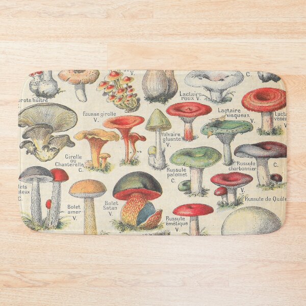 Item preview, Vintage Mushrooms French Champignons designed and sold by Periscope9.